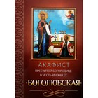 Акафист Пресвятой Богородице в честь иконы Ее Боголюбская - фото 9074495