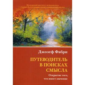 Путеводитель в поисках смысла. Открытие того, что имеет значение. Фабри Дж.