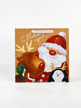 Пакет подарочный новогодний ламинированный квадратный «Весёлая компания», 30?30?12 см (комплект 2 шт)