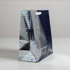 Пакет металлизированный горизонтальный «С Новым годом!», ML 23 х 27 х 11.5 см - фото 21129838