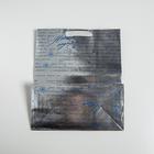 Пакет металлизированный горизонтальный «С Новым годом!», ML 23 х 27 х 11.5 см - фото 21129840