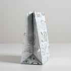 Пакет металлизированный вертикальный «Яркий праздник», MS 18?23?10 см (комплект 12 шт) - фото 68048417