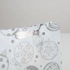 Пакет металлизированный вертикальный «Яркий праздник», MS 18?23?10 см (комплект 12 шт) - фото 68048418