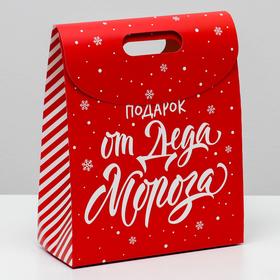 

Пакет с клапаном «Подарок от Деда Мороза», 26 х32 х12 см