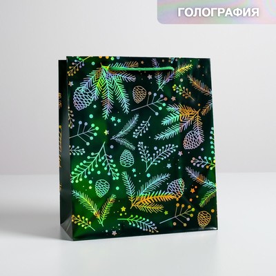 Пакет голография «Шишки», ML 23 х 27 х 11.5 см