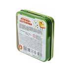 Настольная игра «Птички-сестрички» жестяная коробочка - фото 26369806