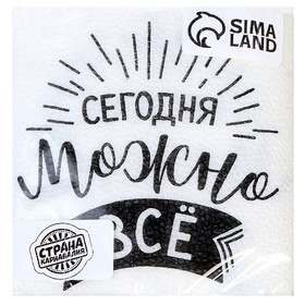 Салфетки бумажные «Сегодня можно всё», однослойные, 24х24 см, набор 20 шт. (комплект 2 шт)