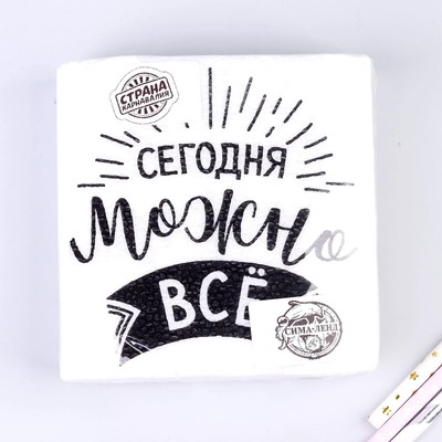 Салфетки бумажные «Сегодня можно всё», однослойные, 24×24 см, набор 20 шт.