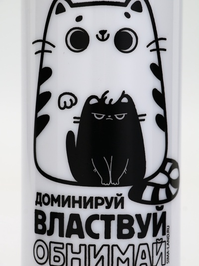 Бутылка для воды пластиковая «Обнимай и властвуй», 700 мл