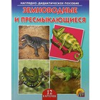 Дидактическое пособие «Земноводные и пресмыкающиеся», 12 карточек - Фото 1