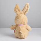 Мягкая игрушка «Зайка», цвета МИКС - фото 25926532