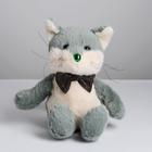 Мягкая игрушка «Кот», цвета МИКС - Фото 1