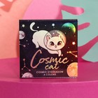 Палетка теней для век Space cat, 4 потрясающих оттенка - Фото 1