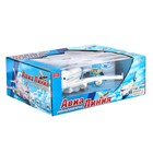 Самолёт радиоуправляемый «Авиалиния», световые и звуковые эффекты, работает от батареек, цвета МИКС - Фото 5