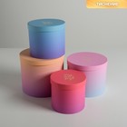 Набор шляпных коробок для цветов 4 в 1, упаковка подарочная, «Градиент», 14 х 13 см - 20 х 17,5 см - фото 294998946