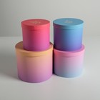 Набор шляпных коробок для цветов 4 в 1, упаковка подарочная, «Градиент», 14 х 13 см - 20 х 17,5 см - Фото 2