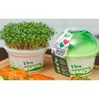 Набор для выращивания «Моя микрозелень», кресс-салат - фото 9762556