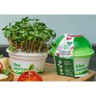 Набор для выращивания «Моя микрозелень», редис - Фото 5