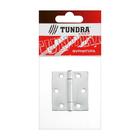 Петля карточная ТУНДРА, 50х45 мм, покрытие цинк 1 шт. - фото 21131432