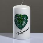 Свеча - цилиндр "Tropical", 7×13 см, жемчужный белый - фото 9076940