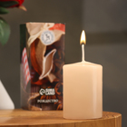 Свеча ароматическая "Рождество", 4×6 см, в коробке - фото 23796174