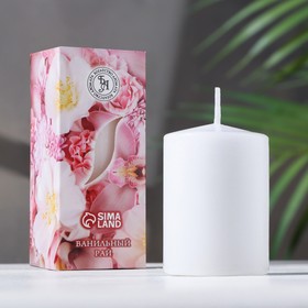 Свеча ароматическая "Ванильный рай", 4×6 см, в коробке