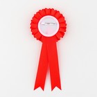 Значок орден на 1 сентября «1 класс», d=6.5 см - Фото 5