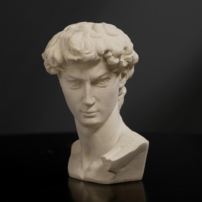 Гипсовая фигура "Голова Давида" 8 х 12,5, белая - фото 1890977889