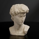 Гипсовая фигура "Голова Давида" 8 х 12,5, белая - фото 3351928