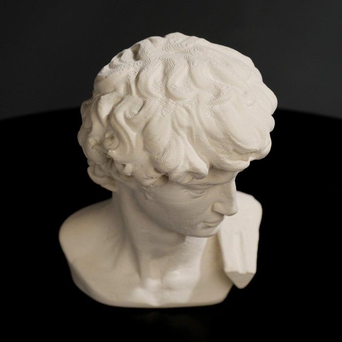 Гипсовая фигура "Голова Давида" 8 х 12,5, белая - фото 1890977888