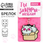 Брелок для ключей акриловый «Котик», 7×12.5 см - Фото 1