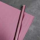 Набор упаковочной бумаги для цветов «Металлик», 12 листов, 50 х 70 см - фото 54950966