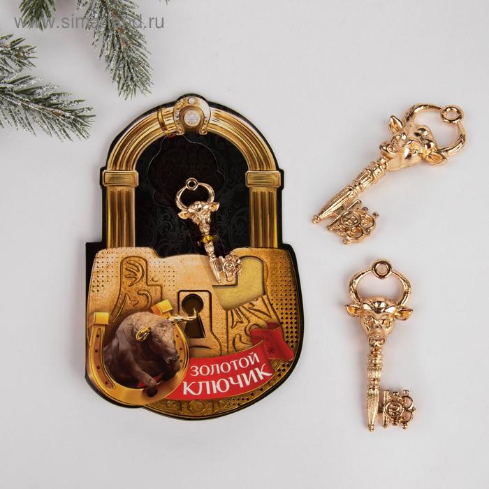 Ключ на открытке "Золотой ключик" 3,5 х 7,5 см - Фото 1