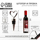 Штопор и пробка для бутылки вина, набор «Винишко» - Фото 1