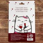 Штопор и пробка для бутылки вина, набор «Винишко» - Фото 8