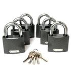 Замок навесной Апекс PD-01-63 с одной секретностью (6Locks+5Keys) 5381096 - фото 343022