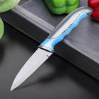 Нож кухонный с антиналипающим покрытием Доляна «Титанум», лезвие 9 см, цвет чёрно-синий - Фото 1