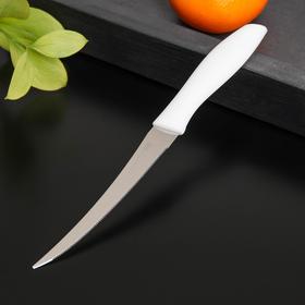 Нож для цитрусовых «Ария», лезвие 12 см, цвет МИКС
