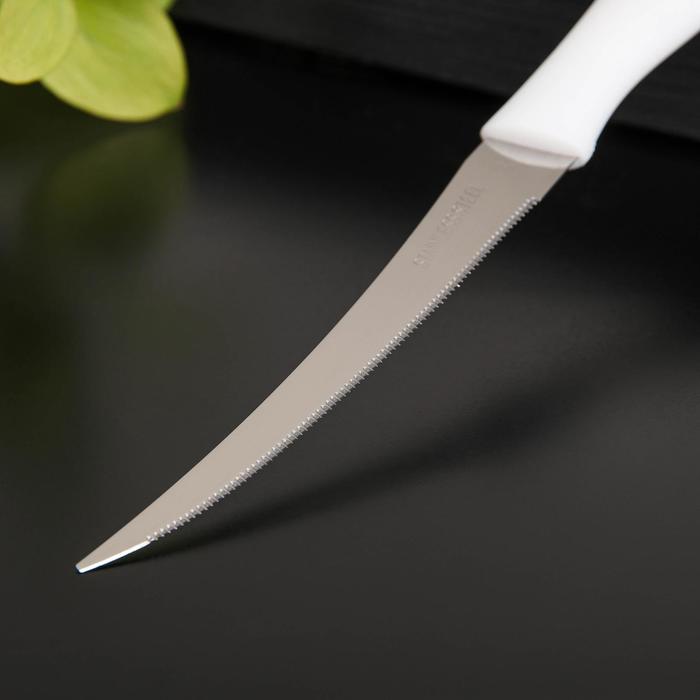 Нож кухонный для цитрусовых «Ария», лезвие 12 см, цвет МИКС - фото 1908606127