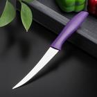 Нож кухонный для цитрусовых «Ария», лезвие 12 см, цвет МИКС - Фото 6