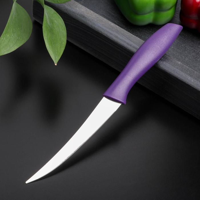 Нож кухонный для цитрусовых «Ария», лезвие 12 см, цвет МИКС - фото 1908606131