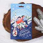 Ложка сувенирная «Снегирь», 2.5 х 12.6 см - Фото 1