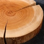 Спил-доска торцевой "Дубовый", 20-25 х 3 см - фото 25429857