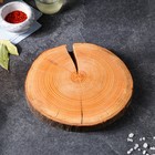 Спил-доска торцевой "Дубовый", 25-30 х 3 см - фото 25266316