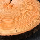 Спил-доска торцевой "Дубовый", 25-30 х 3 см - фото 25266317