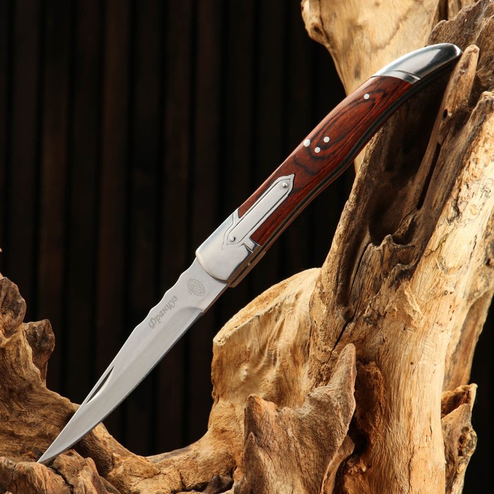 Нож складной "Француз" сталь - 40х13, рукоять - дерево, 23 см - Фото 1