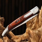 Нож складной "Француз" сталь - 40х13, рукоять - дерево, 23 см - Фото 3