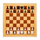 Демонстрационные шахматы и шашки 61 х 61 см, на магнитной доске, король 6.4 см - Фото 1