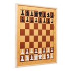 Демонстрационные шахматы и шашки 61 х 61 см, на магнитной доске, король 6.4 см - фото 9192978