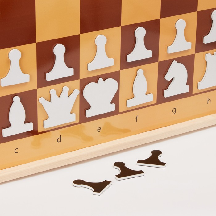 Демонстрационные шахматы и шашки 61 х 61 см, на магнитной доске, король 6.4 см - фото 1907148172